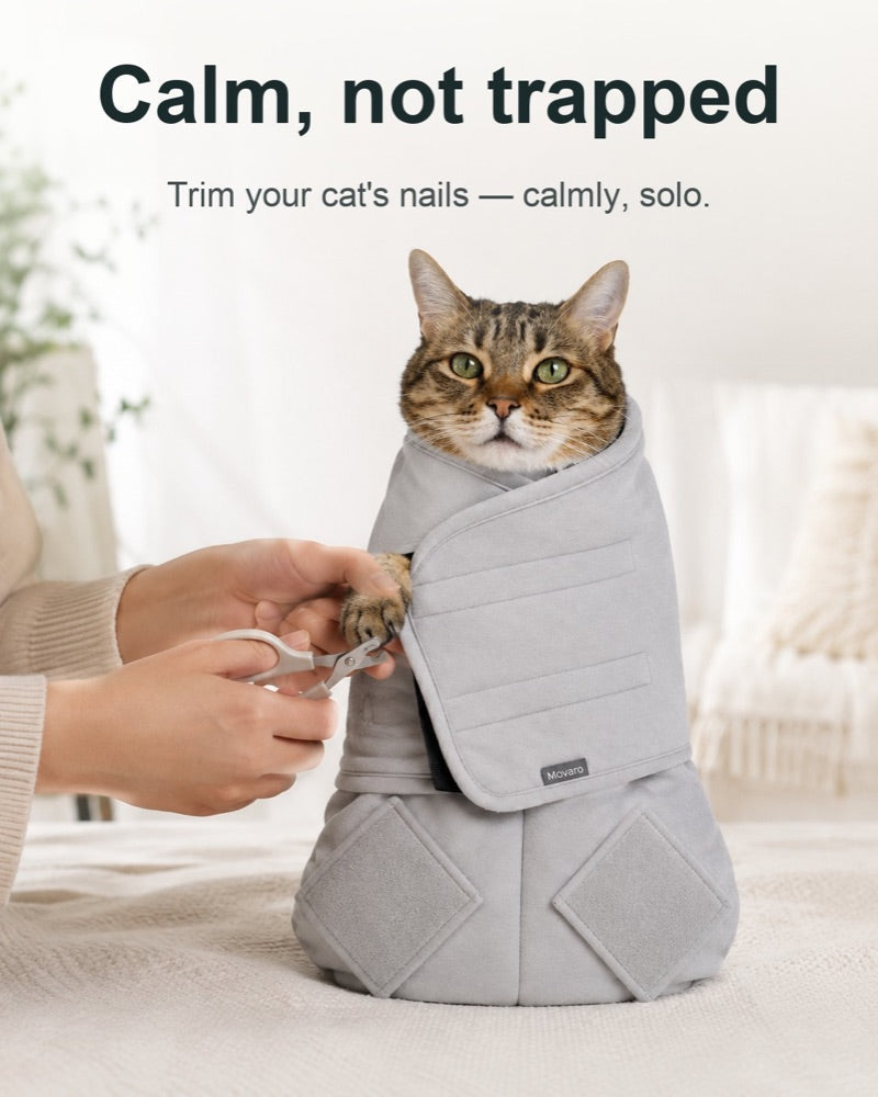 Calm, not trapped